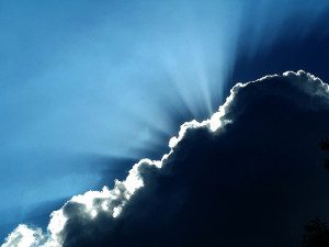 joy in adversity